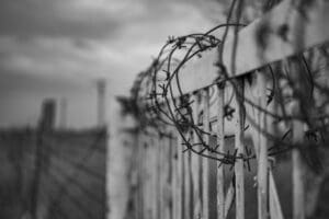 Desertion from the IDF – legal information